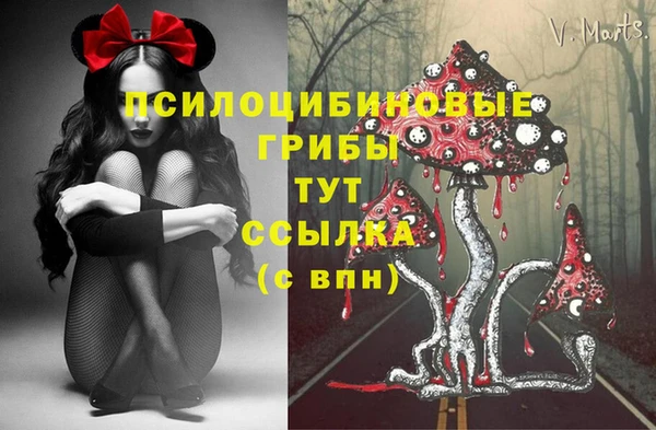 МДПВ Покров