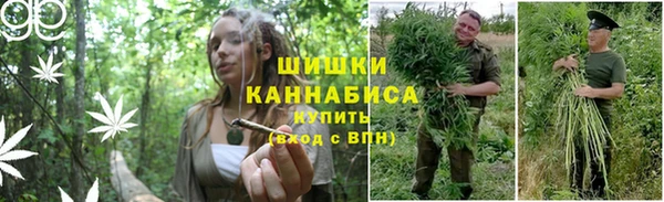 каннабис Алзамай