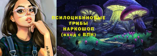 дурь Алексеевка